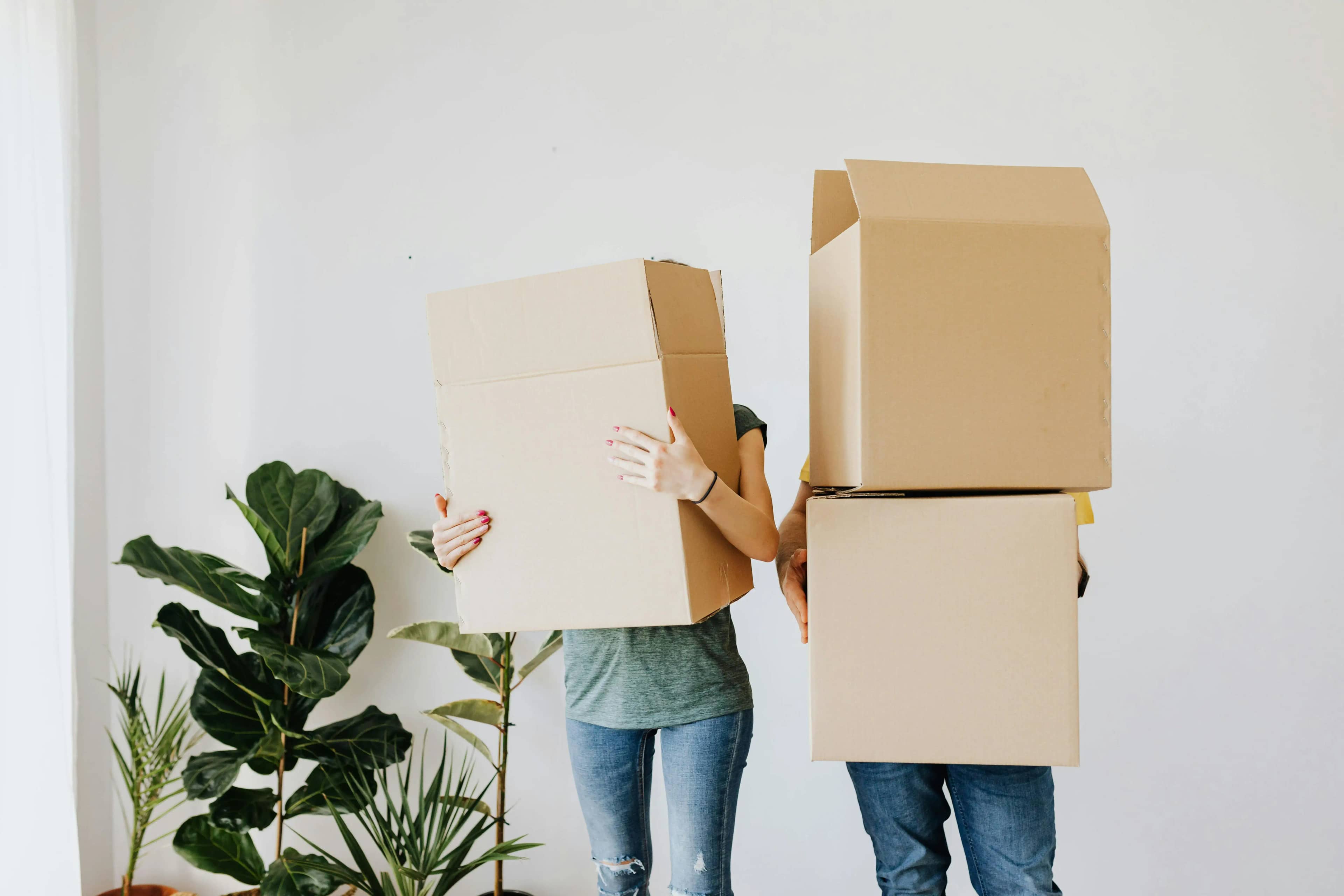 Taskli professinals helping to move boxes during a home move in an apartment with plants